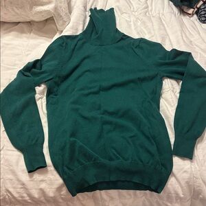 Banana Republic Teal Turtleneck Sweater